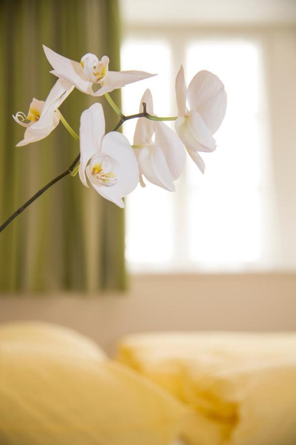 B&B Zum Guten Tropfen San Paolo  Ngoại thất bức ảnh